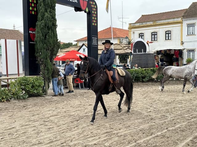 Foto 4 von Astrid E. über die Anmietung eines Volkswagen Golf in Portugal (15.11.23)