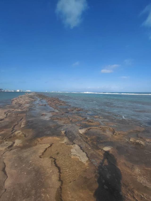 Foto de Ricardo J. (22/11/25)