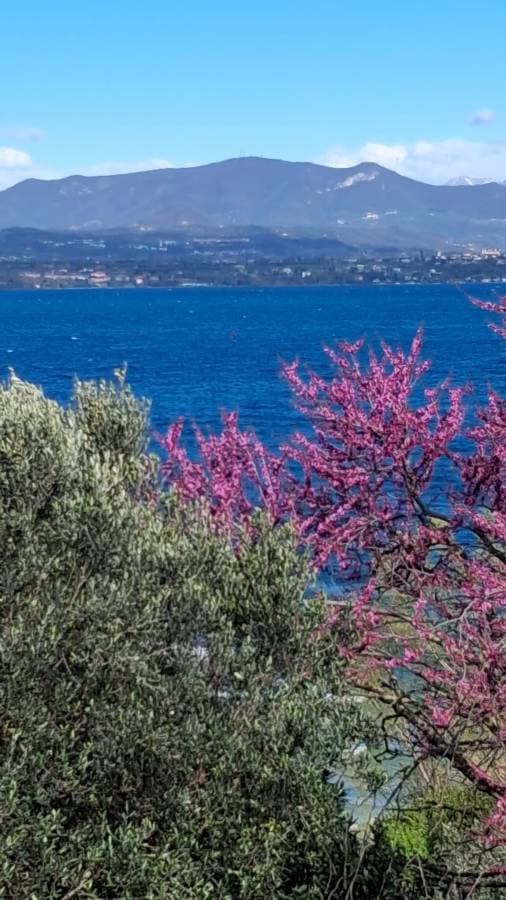 Photo 5 par Eldorado C. (02/04/26)