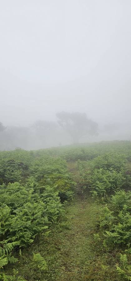 Zdjęcie 1 wykonane przez Tomasz R. (19.05.23)