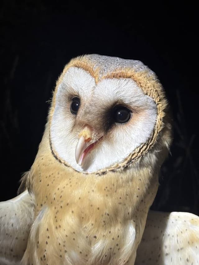 Foto 2 de Patricia A. (11/10/25)