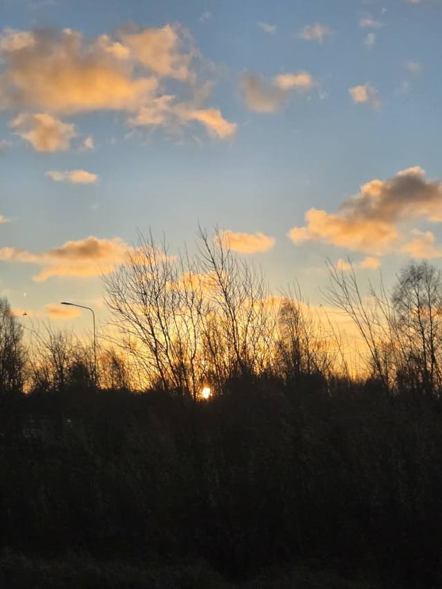 Photo 3 by Yuhwan K. (12/28/25)