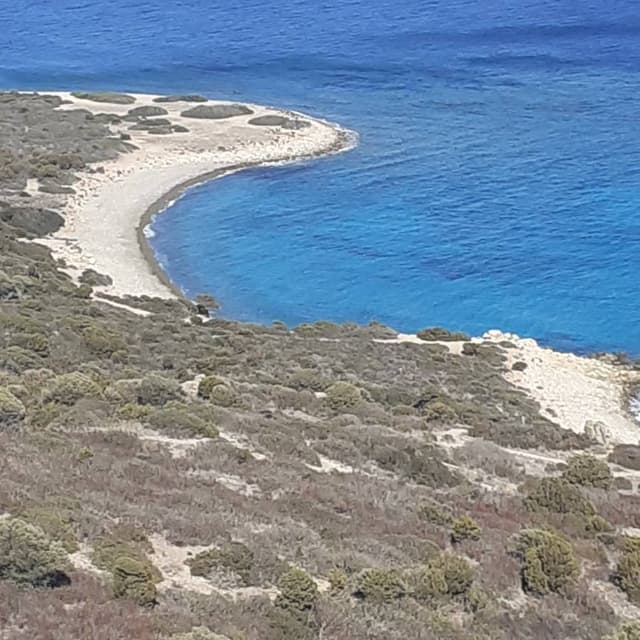 Foto di Carlo N. sul noleggio di una Volkswagen Up in Sardegna (02/10/24)