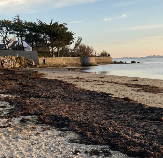 Photo 1 par tanguy L. (16/01/24)