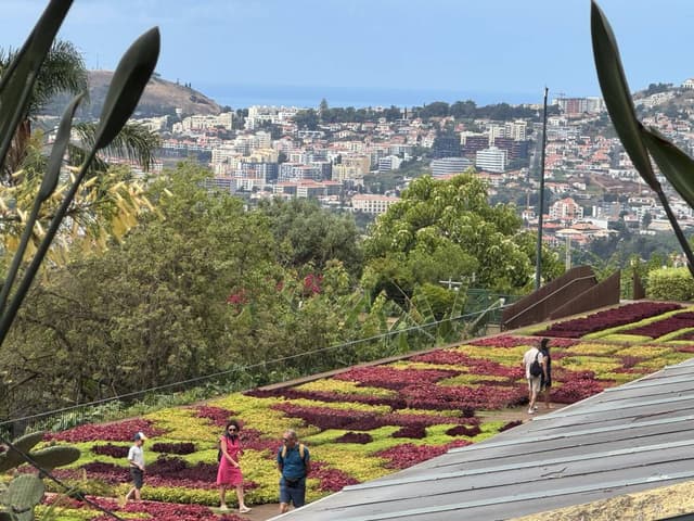 Foto 6 van Oscar V. over het huren van een Citroen C3 in Portugal (27-8-25)