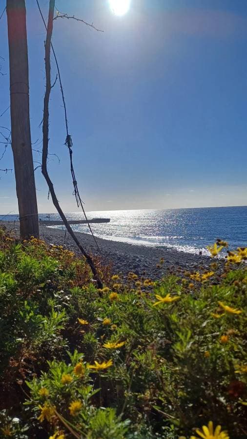 Foto 2 de Elsa B. (24/11/25)