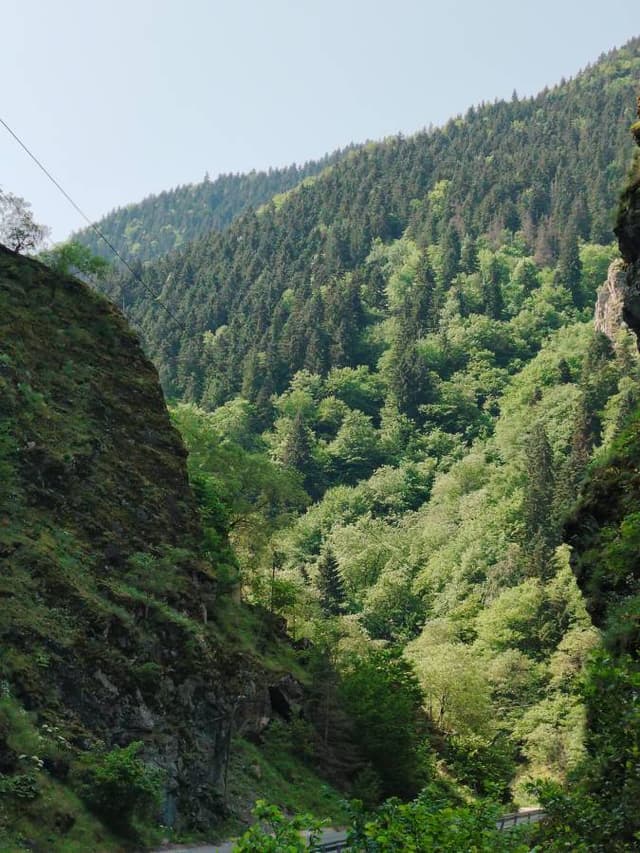 Photo 4 by Moideen H. about renting a Renault Megane in Trabzon (6/11/25)