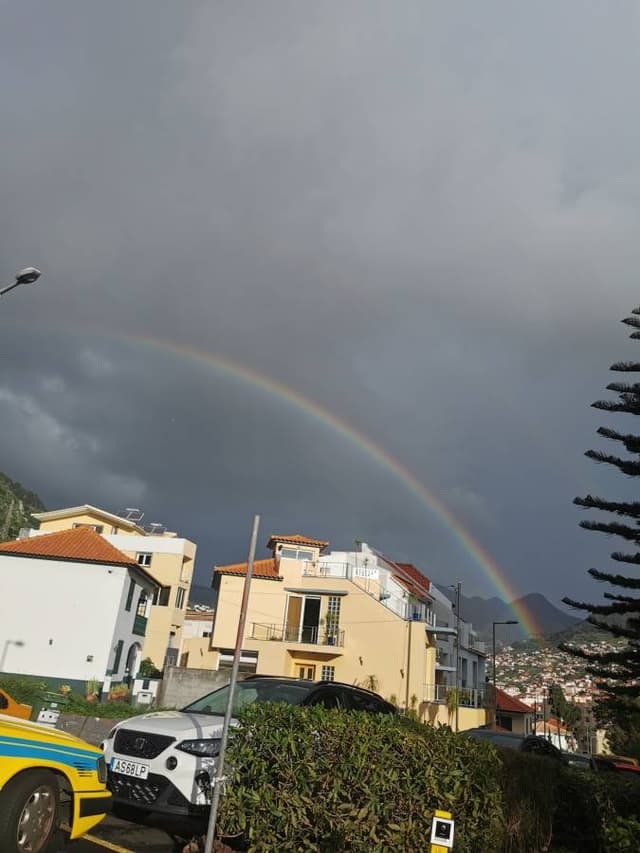 Photo 2 by Zvonimir J. (1/30/23)