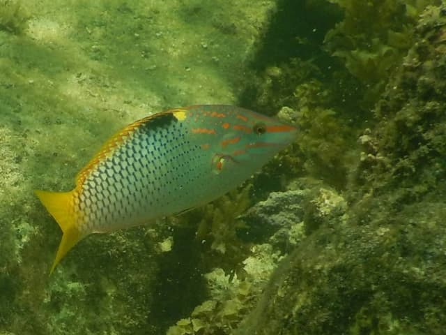 Foto 3 von Roland Reinhard B. (4.2.26)