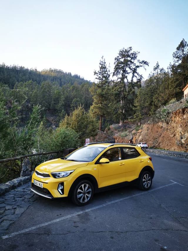 Photo 2 by Robertas J. (3/5/26)