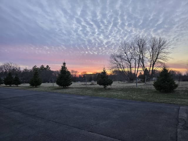 Photo 1 by Cobra H. (4/23/25)