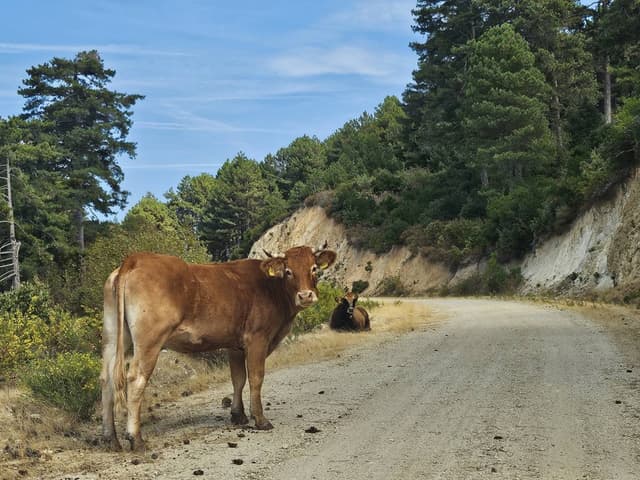 Photo 2 by Alexandra B. (10/2/25)