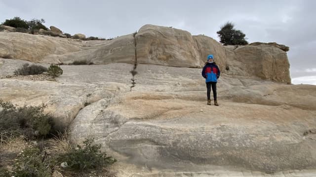 Photo 2 by Peter Z. (2/26/24)