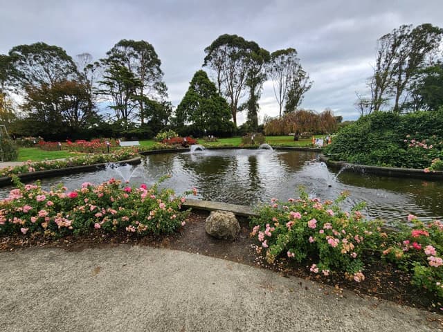 Photo 2 by Kozue K. about renting a Toyota Corolla in Wellington (4/19/24)
