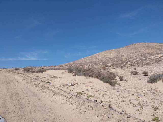 Foto 1 van Danielle V. (1-3-26)