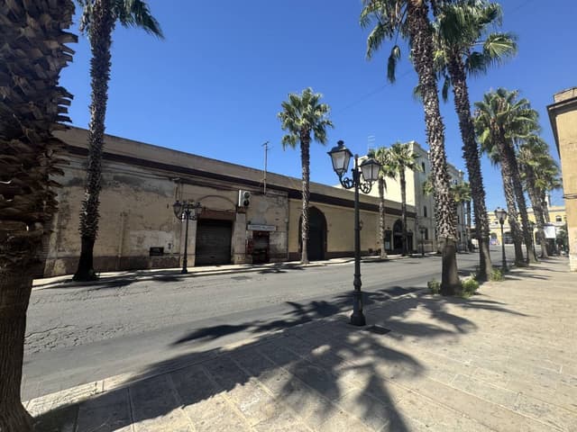 Photo 4 by Diana H. (9/12/25)