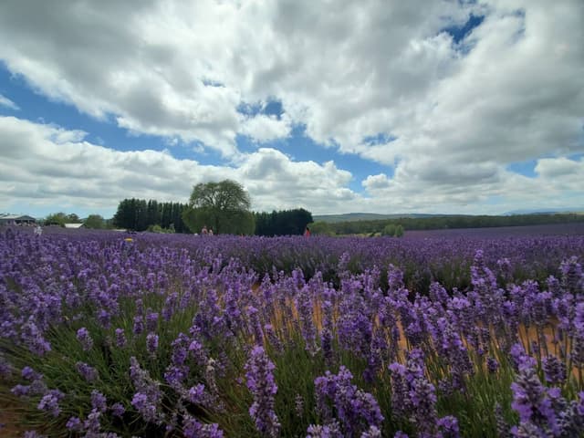 Photo 3 by CHUN WAI C. (1/23/26)