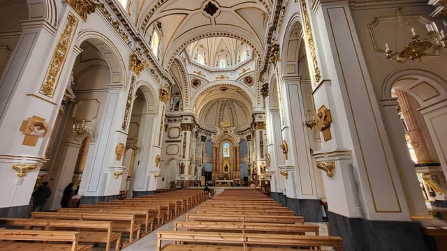 Photo 4 by Hardenberg V. (2/11/26)