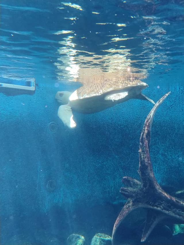 Foto 2 de EMERSON D. (23/01/24)