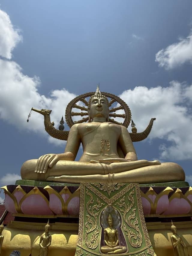 Photo 4 by Ricky B. (4/1/26)