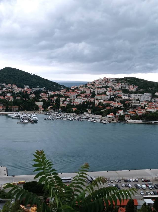 Ali F. tarafından 2 fotoğraf (03.07.23)