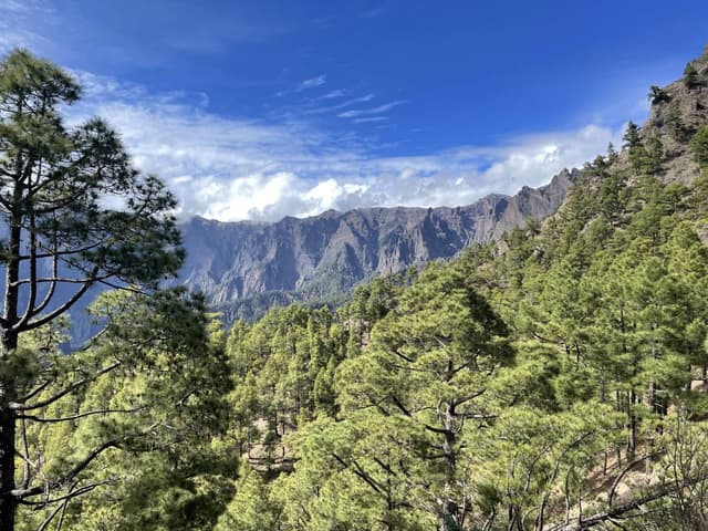 Photo 2 by William Paul S. (5/12/26)
