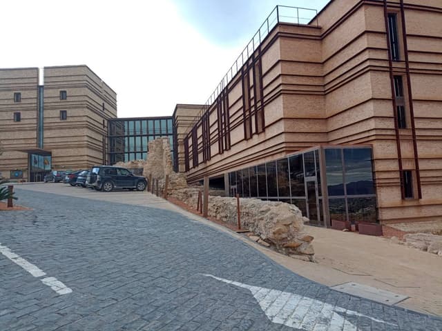 Foto 1 van Jan R. (18-2-26)