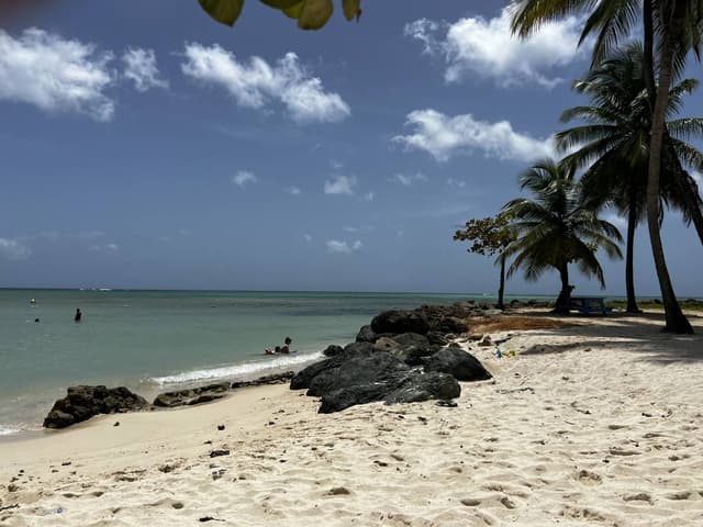 Photo 2 by Amanda K. about hiring a Toyota Aqua at Tobago Airport (19/07/23)