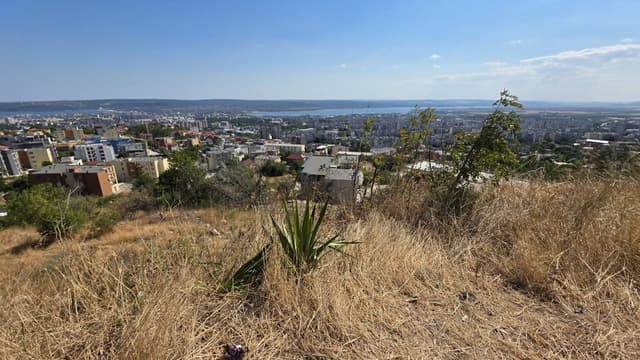 Foto 3 von Friedrich Philipp H. (15.7.25)