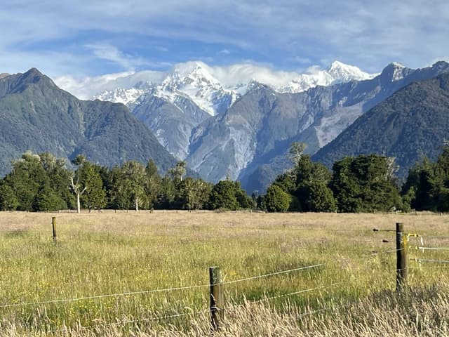 Photo 3 by Hillary E. (1/7/26)