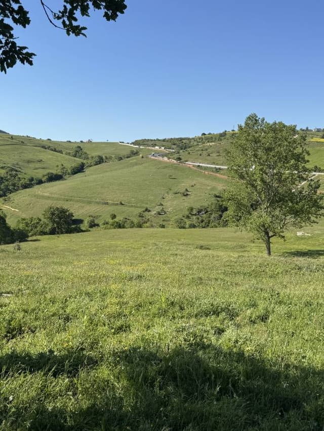 Photo 2 by Yousef A. about hiring a Citroen C-Elysee at Istanbul Airport Sabiha Gokcen (21.05.25)