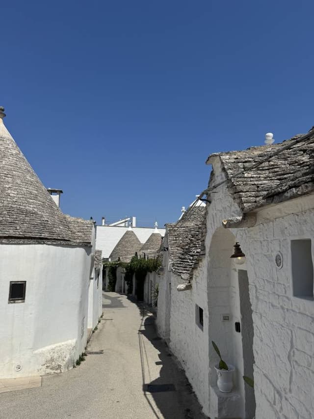 Photo 2 by Melsi V. about renting a Ford Fiesta in Bari (9/3/24)
