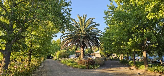 Foto 6 van Jelle J. (2-12-25)