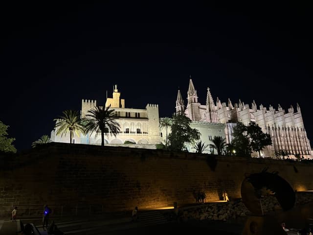 Fotografia 6 realizată de Stefan Alin N. (17.08.25)