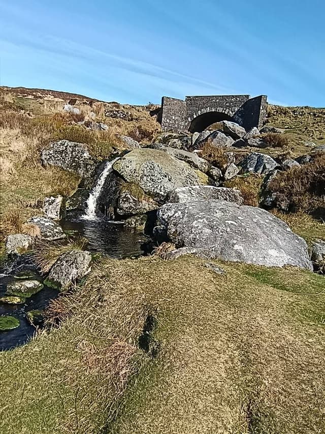 Foto 1 di SARA M. (25/03/26)