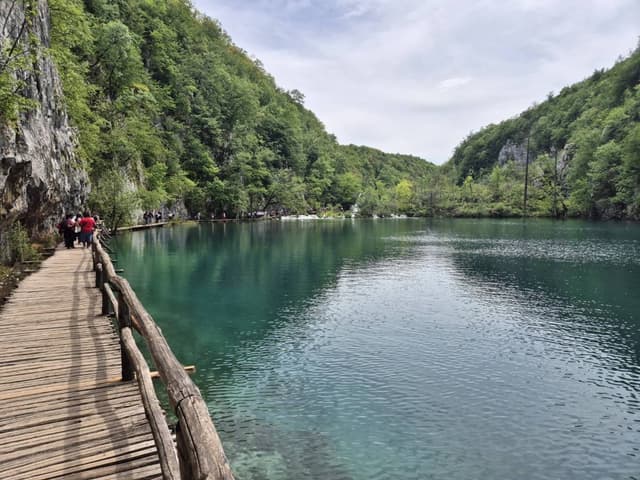 SANG YOUNG C.의 사진 2 (24. 5. 15.)