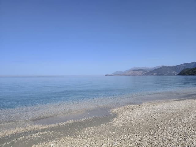 Photo 3 by Sonia C. (7/18/26)