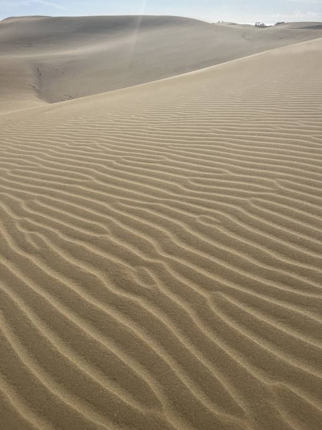 Istvan K. 1. számú fényképe (25. 12. 06.)