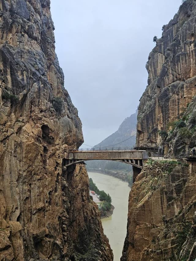 Zdjęcie 1 wykonane przez Krzysztof L. (8.01.26)