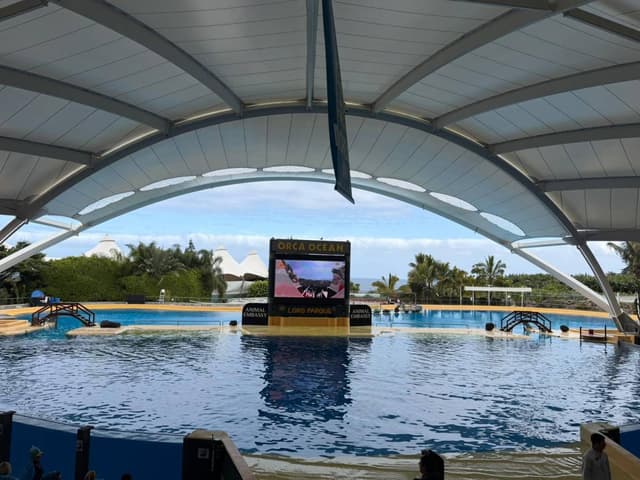 Photo 5 by Jeffery S. about hiring a Volkswagen T-Roc Cabrio in the Canary Islands (14/03/26)