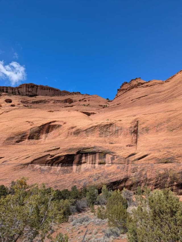 Photo 1 by kelly H. (3/11/26)