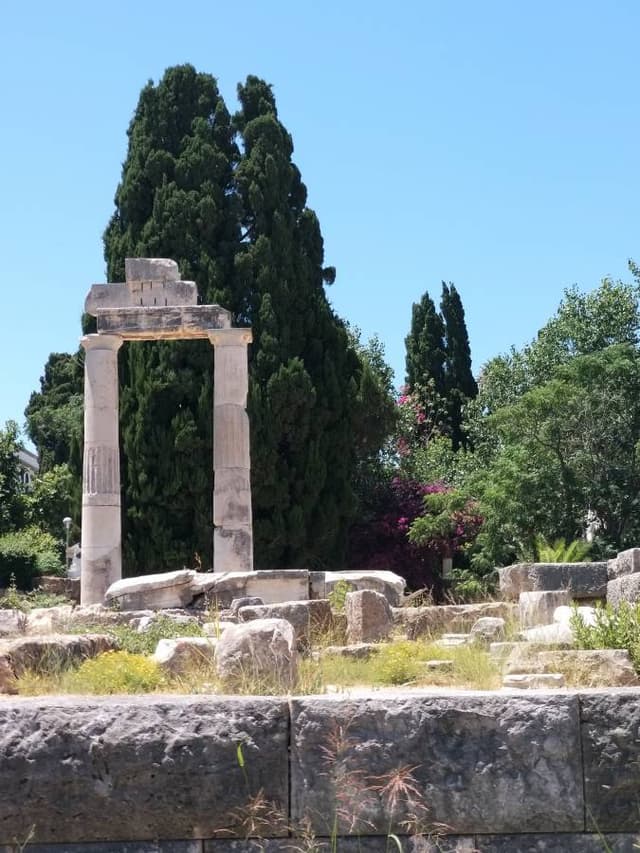 Foto 3 di Federico O. sul noleggio di una Toyota Aygo a Kos (09/07/22)