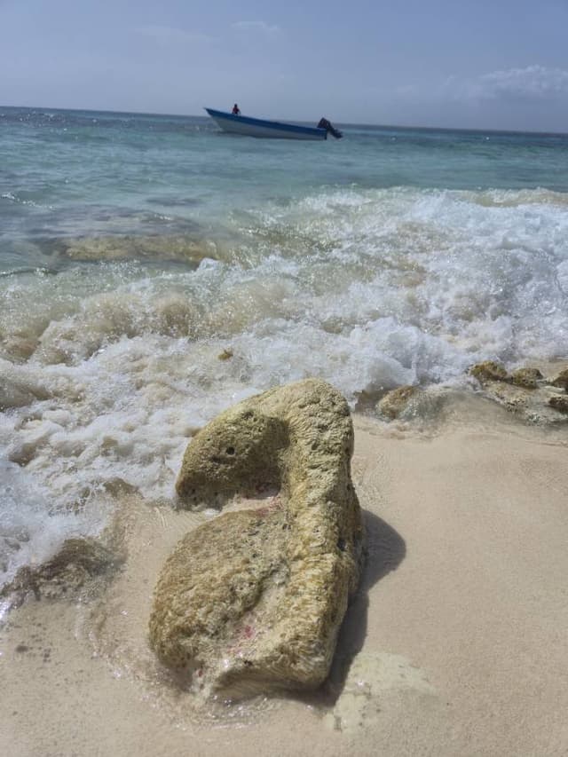 Foto 5 von Binisio S. über die Anmietung eines Suzuki Vitara in der Dominikanischen Republik (13.8.25)