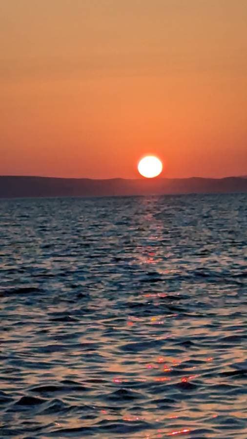 Foto 2 van Ali K. (30-8-24)