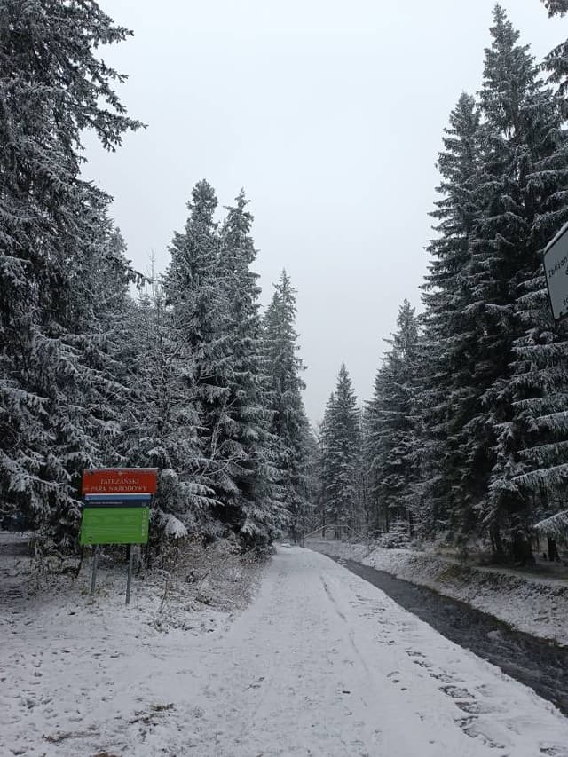 Фото 5 от Ihor K. об аренде Toyota C-HR в Варшаве (25.11.23)