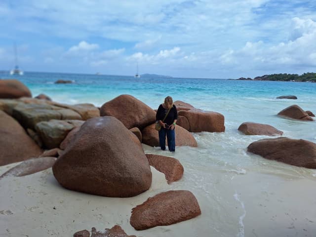 תמונה מאת Ilan M. (24.3.25)