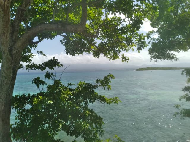 Photo 2 by Gordon S. about renting a Hyundai i10 in Pointe-a-Pitre (5/25/25)