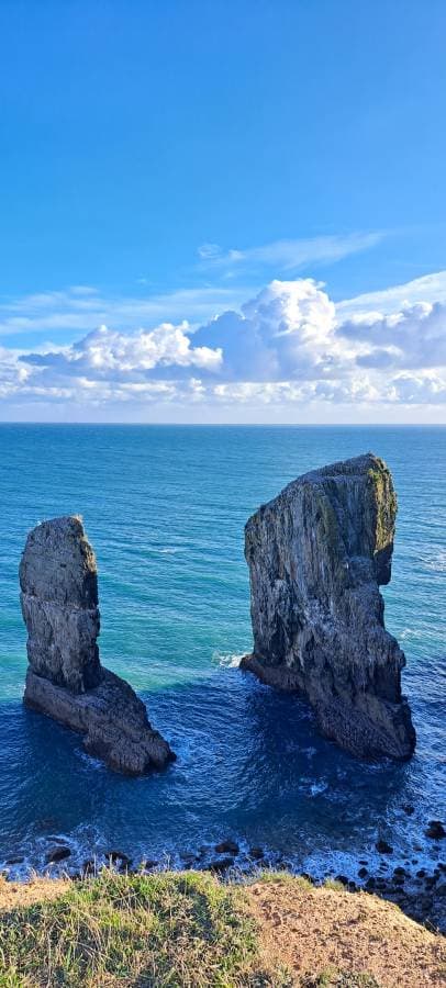 Photo by Moon Shing C. (9/14/24)