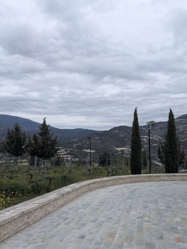 Photo 4 by Olha H. (3/30/26)