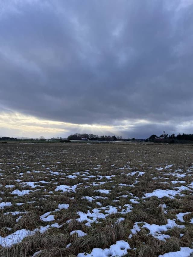 Photo 2 by Roland R. (1/20/24)